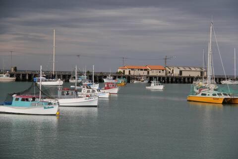 Rosies Place Oamaru Bagian luar foto